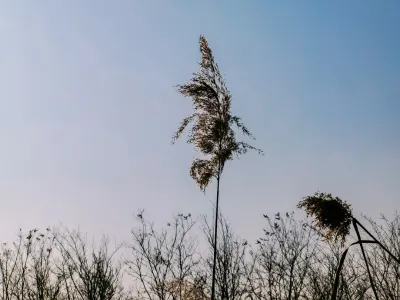 Bit4win Kasino Apl Mudah Alih